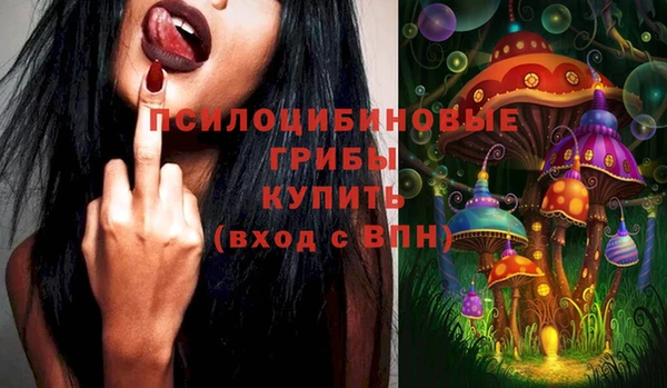скорость Корсаков