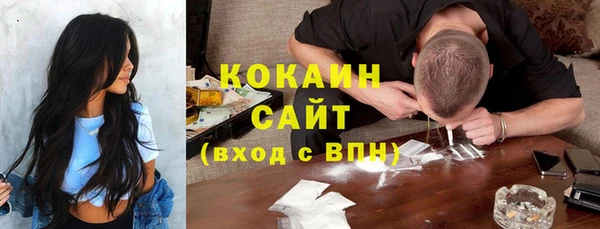 ГАЛЛЮЦИНОГЕННЫЕ ГРИБЫ Коряжма