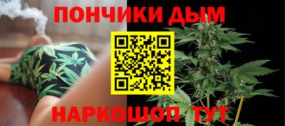 СК Дубна