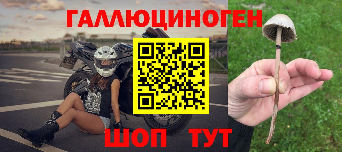 даркнет сайт  Галлюциногенные грибы мицелий  Вход с VPN  Саратов 