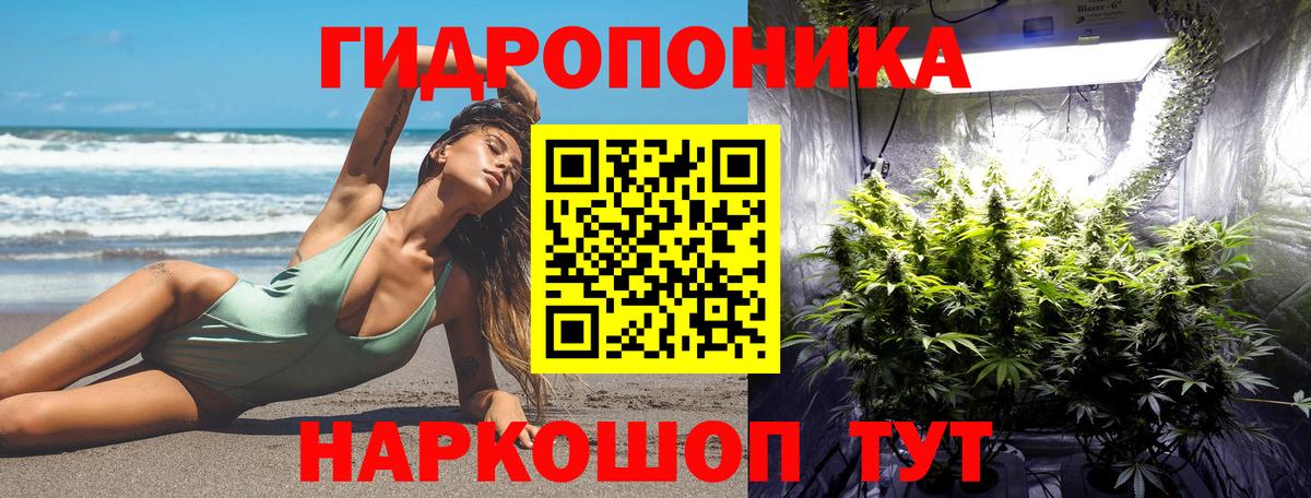 Бошки марихуана THC 21%  Канабис сатива  Саратов  Канабис сатива  Шишки марихуана семена 